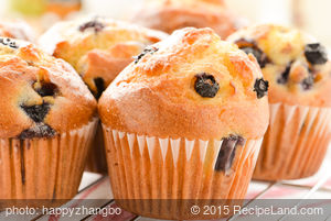 Non-Fat Blueberry Muffins