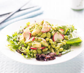 Avocado, Radish and Edamame Salad 