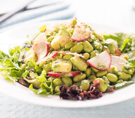 Avocado, Radish and Edamame Salad 