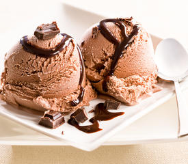 Jerry's Chocolate Ice Cream