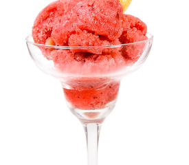 Watermelon Sorbet