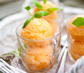 Cantaloupe Sorbet