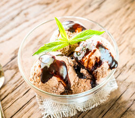 Creamy Chocolate Coconut-Milk Ice Cream