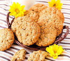 Diabetic Oatmeal Peanut Butter Cookies