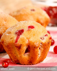 Cranberry or Blueberry Muffins