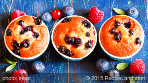 Double Berry Muffins recipe