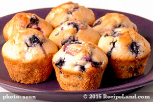 Baking Mix Blueberry Muffins