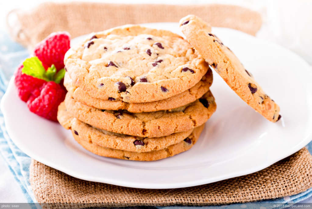 Best Whole Wheat Chocolate Chip Cookies recipe