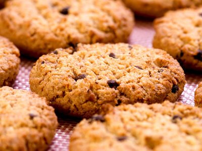 Clementine's Oatmeal Chocolate Chip Cookies