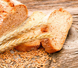 Mennonite Whole Wheat Bread