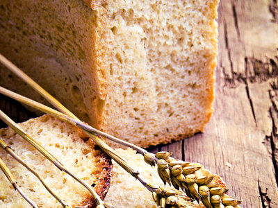 Moist Whole Wheat Oatmeal Bread