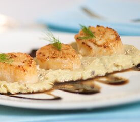 Scallops on Fennel Puree with Honey Balsamic Drizzle