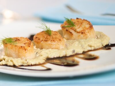 Scallops on Fennel Puree with Honey Balsamic Drizzle