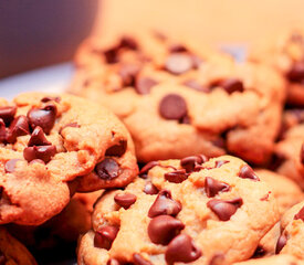 Passover Chocolate Chip Cookies