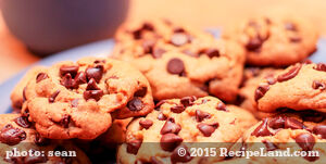 Passover Chocolate Chip Cookies