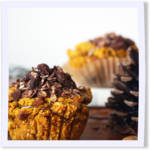 Pumpkin Muffins Recipe