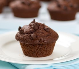 Chocolate Chocolate Chip Cupcakes