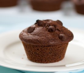 Chocolate Chocolate Chip Cupcakes