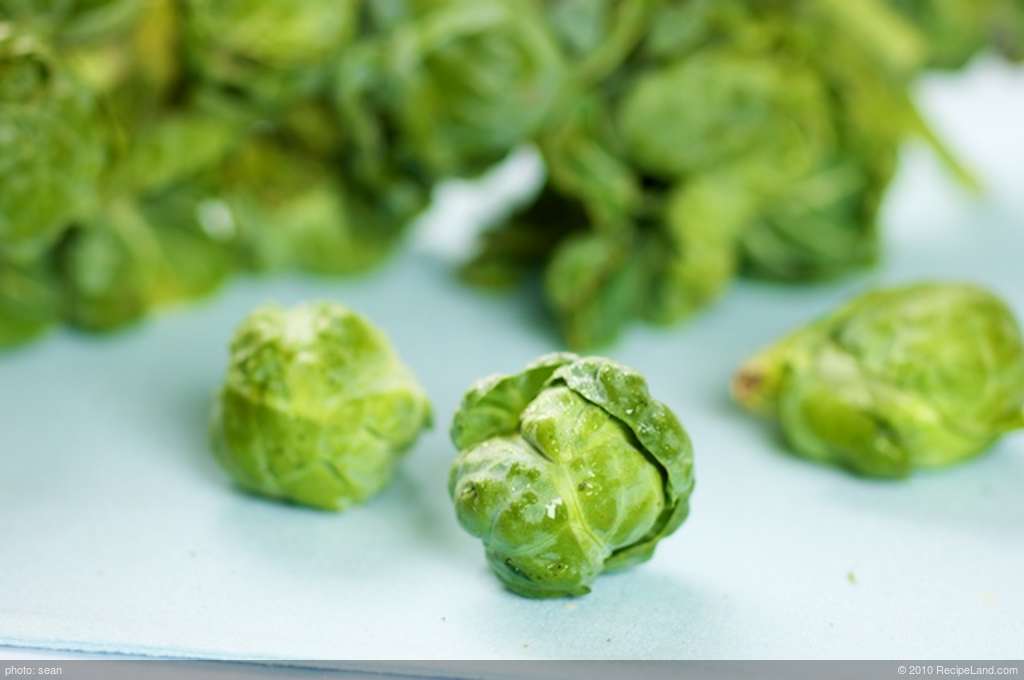 Baked Brussels Sprouts Au Gratin #2 recipe