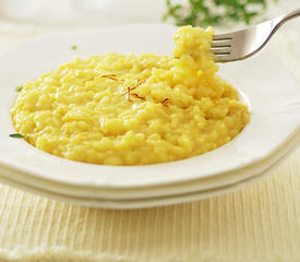 Saffron Risotto