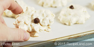 Sliced Almond Cookies