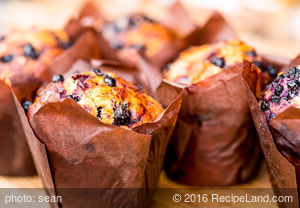 Blueberry Lovers' Muffins