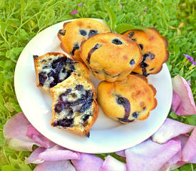 Jordan's Blueberry Muffins