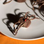 Halloween Chocolate Spiders