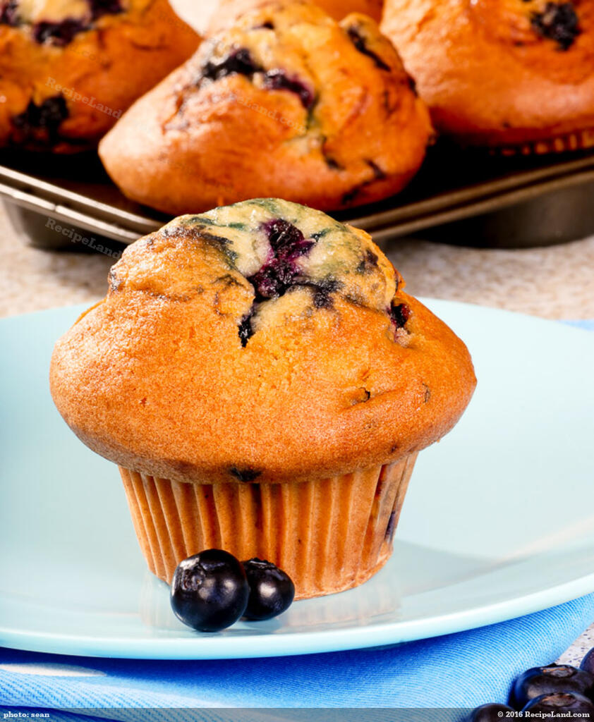 Jumbo Blueberry Muffins Recipe