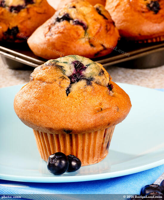 Jumbo Blueberry Muffins Recipe