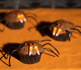 Halloween Spider Cupcakes