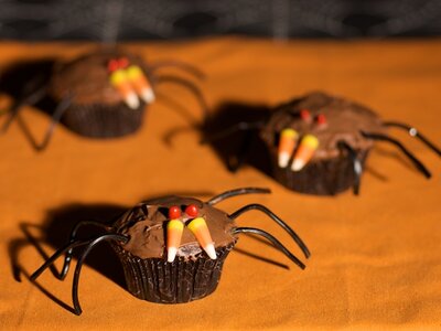 Halloween Spider Cupcakes