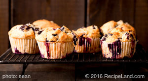 Sugarless Blueberry Muffins recipe