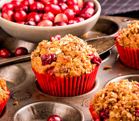 Cranberry Muffins with Sunflower and Pumpkin Seeds