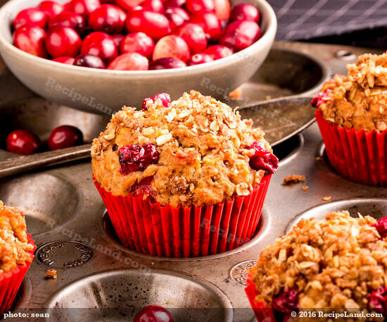 Cranberry Muffins with Sunflower and Pumpkin Seeds Recipe