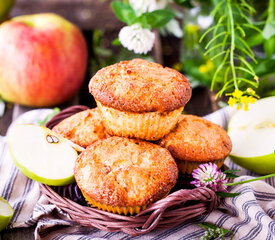 Bisquick Apple Cinnamon Muffins