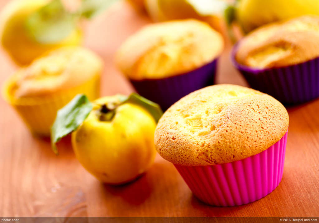 Apple Orange Spice Muffins (Ww) recipe