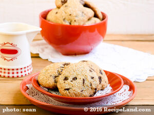 Chocolate Chip Soybean Cookies