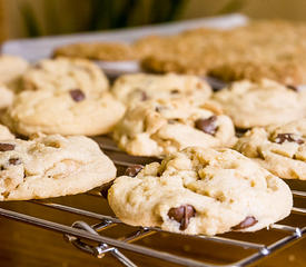 Gourmet Chocolate Chip Cookies