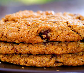 Oatmeal Chocolate Chunk Cookies