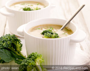 Ginger Broccoli Soup