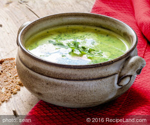 Buttery Broccoli Soup