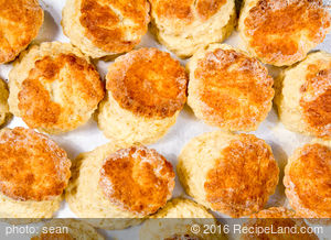 Mary Rogers's Sourdough Biscuits