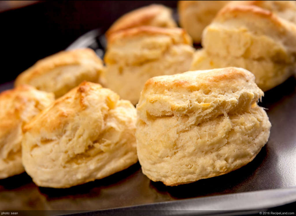 Basic Muffins and Biscuits recipe