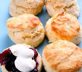 Biscuit Baking Mix Recipes (Biscuits)