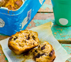 Pumpkin Chocolate Chip Muffins