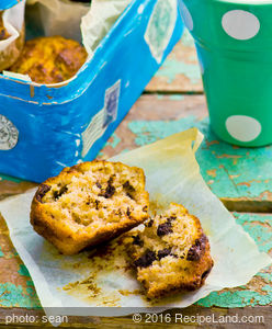 Pumpkin Chocolate Chip Muffins recipe