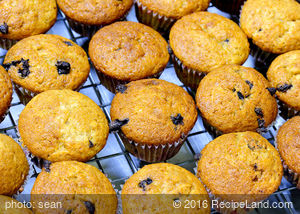 Blueberry Tasty Muffins