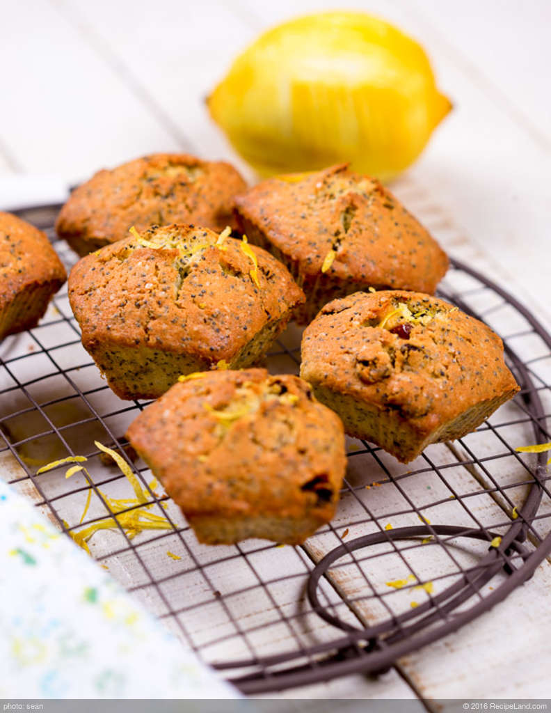 Almost Whole Wheat Lemon Poppyseed Muffins recipe