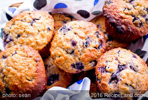 Blueberry Bran Honey Muffins